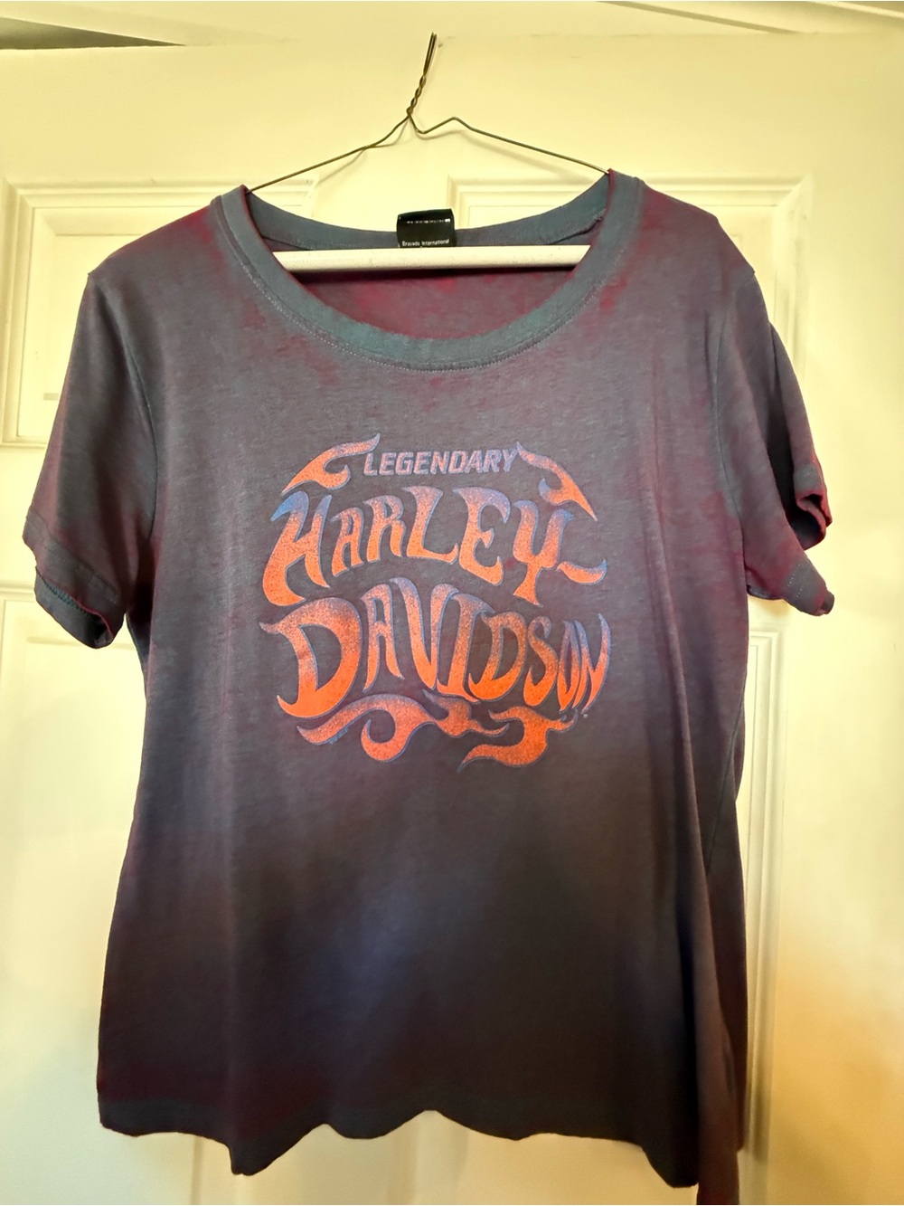 Harley-Davidson Purple and Orange Flame Logo Tee